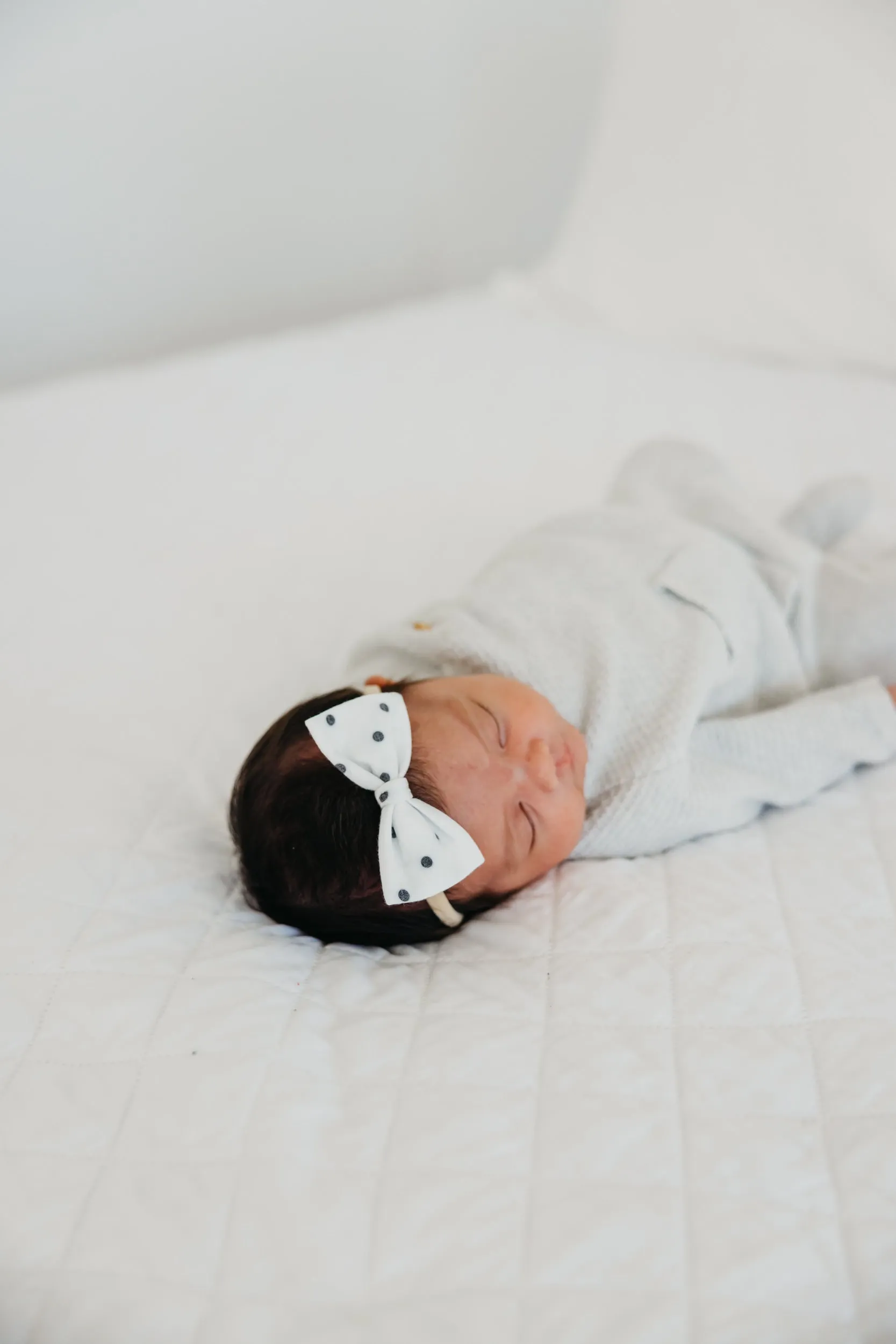 Bowtie Nylon Bow - Willow