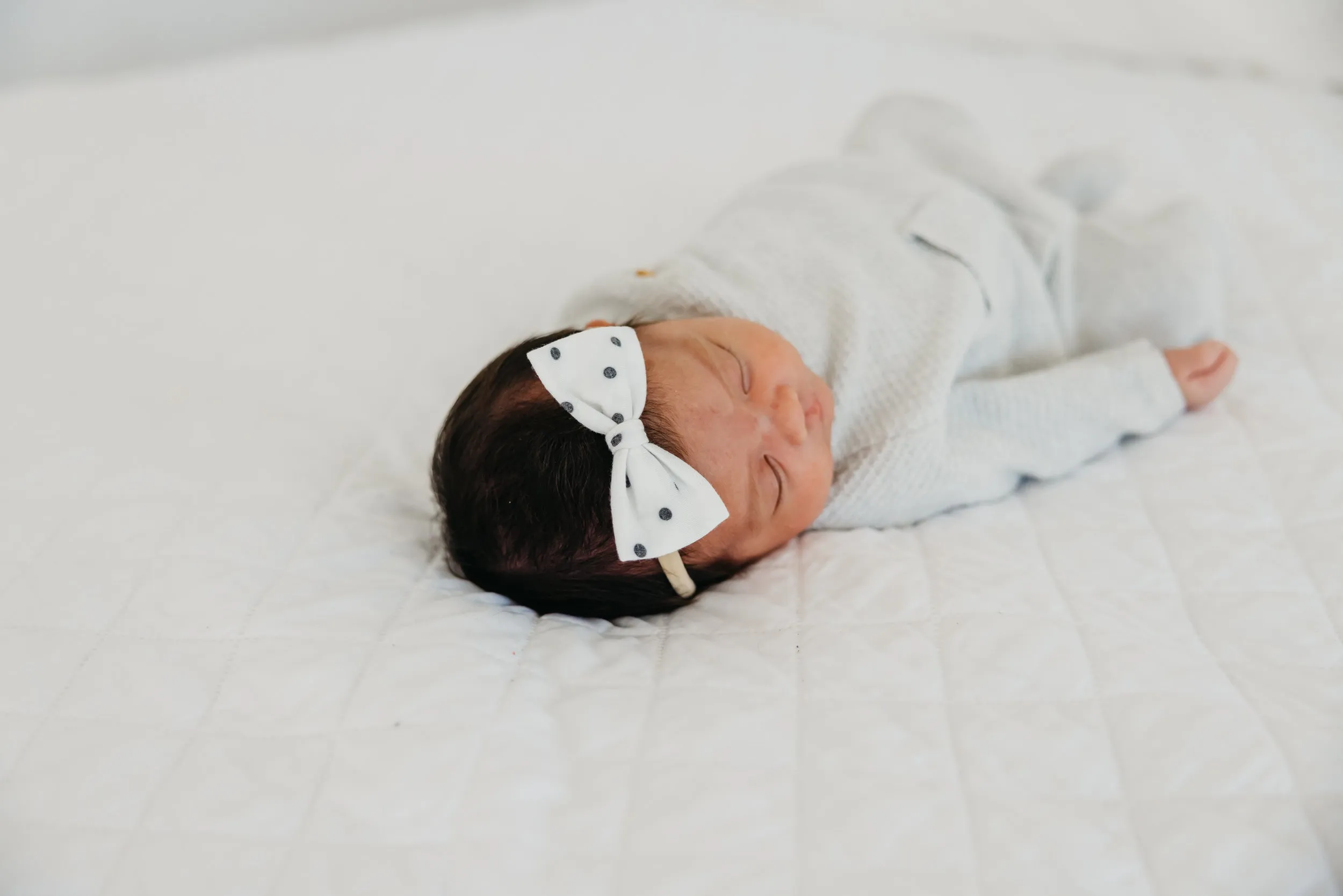 Bowtie Nylon Bow - Willow