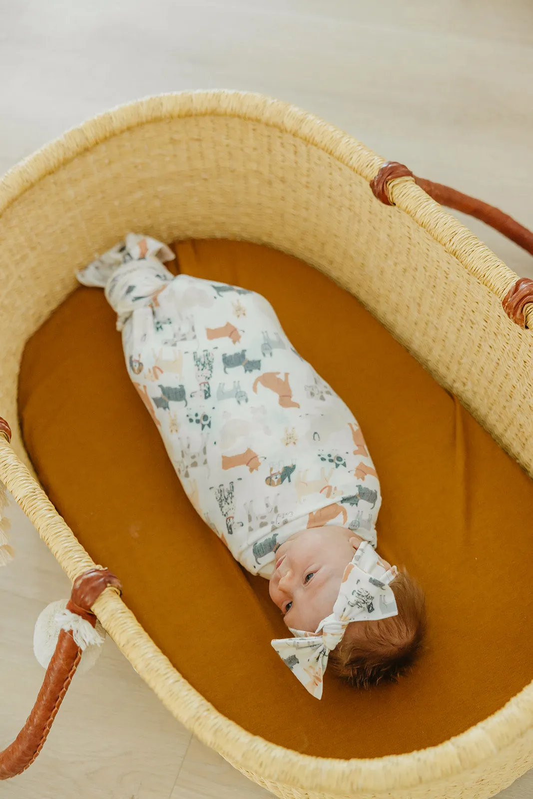 Knit Headband Bow - Rufus