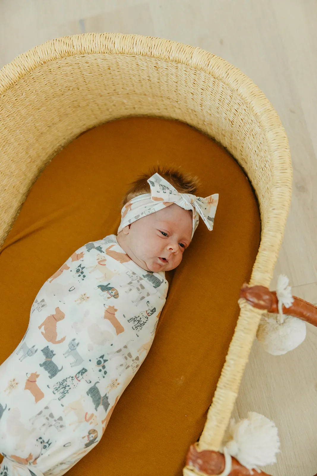 Knit Headband Bow - Rufus