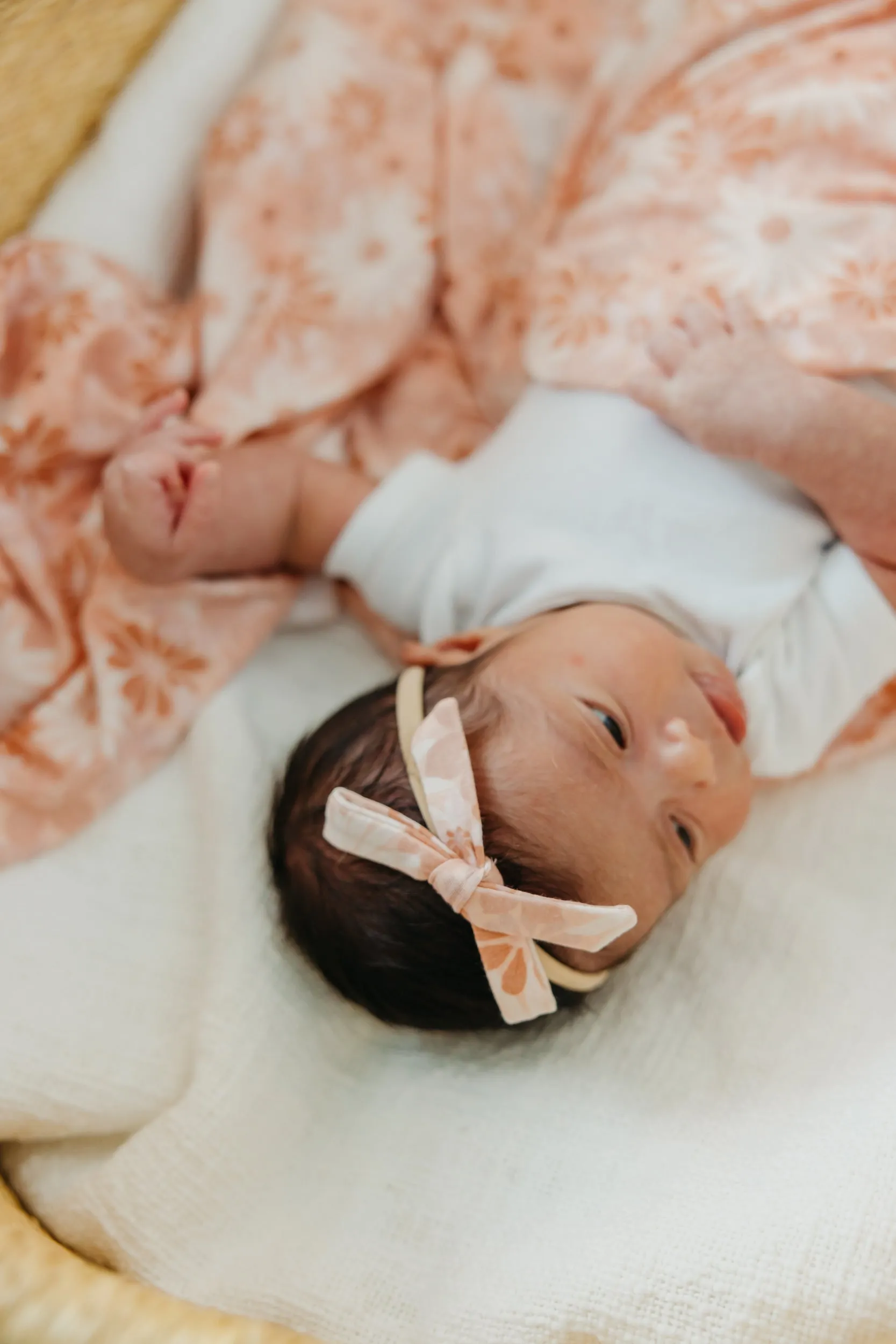 Ribbon Nylon Bow - Penny