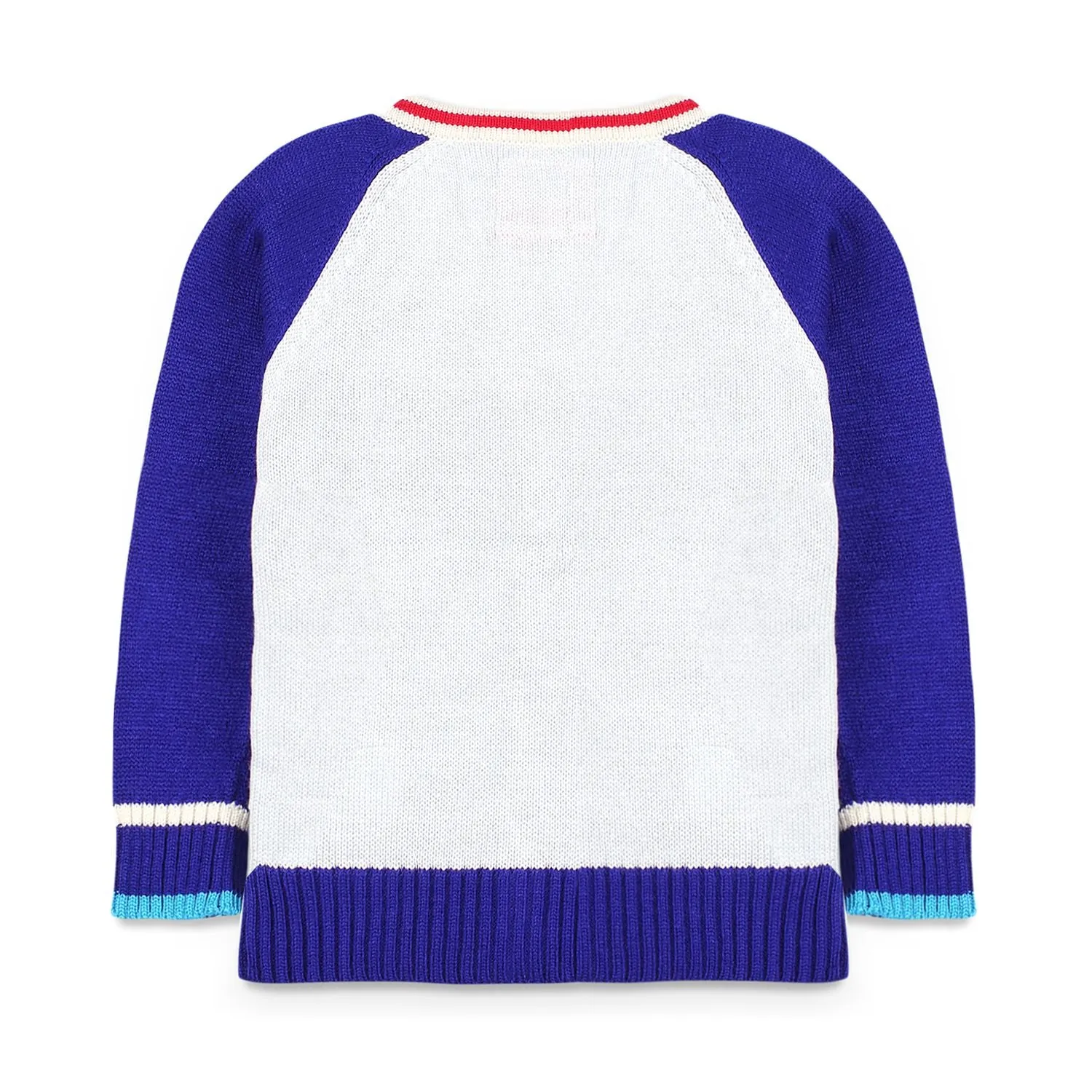 V Neck Colorblock Cardigan